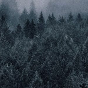 Meet your Posher, Adriana